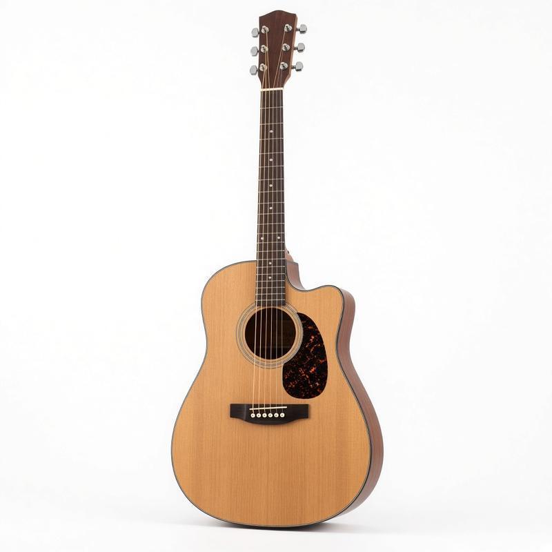 GUITARS
