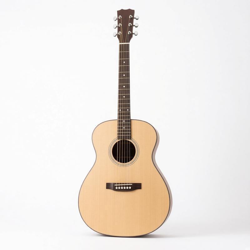 Taylor Jumbo Acoustic-Electric Guitar